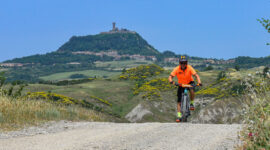 mountain biking in the woods