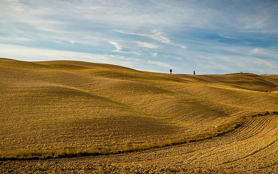 Val D'Orcia landscape